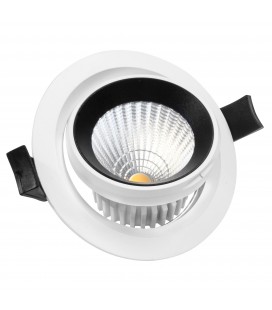 Encastrable Orientable LED IP54 - 10W - Ecolife Lighting®