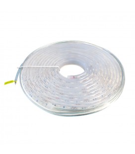 5 mètre de Ruban LED Bleu - 12V - 14,4W/metre - 60 LEDs/mètre - IP68 - SMD5050