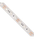 5 mètre de Ruban LED Bleu - 12V - 14,4W/metre - 60 LEDs/mètre - IP68 - SMD5050