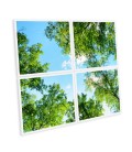 Pack de 4 dalle LED imprimées - Garrigue - 600x600mm (alimentations non fournies)