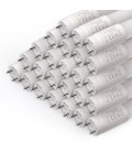 Pack de 25 Tubes LED en verre - T8 Ecolife Lighting - 1500mm - 20W - Blanc Neutre