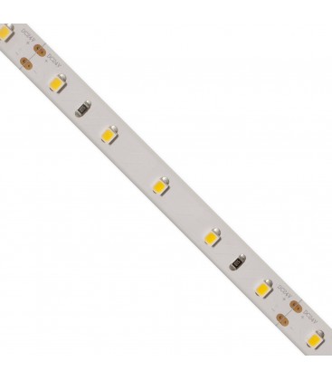 Ruban LED couleur (RGB) - Haute puissance - 24V