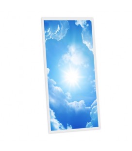 Pack de 1 dalle LED imprimée - Heaven - 1200x600mm - Fabriqué en France (alimentation non fournie)