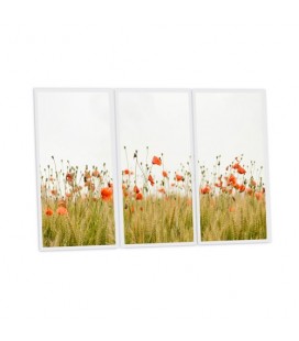 Pack de 3 dalles LED imprimée - Coquelicot - 1200x600mm - Fabriqué en France (alimentation non fournie)