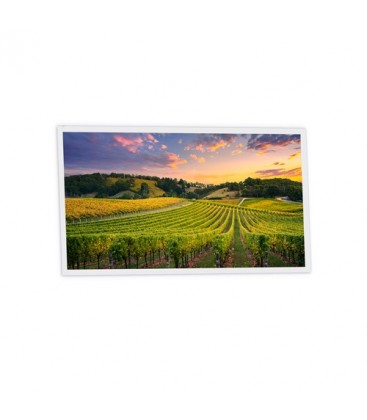 Pack de 1 dalle LED imprimée - Vignoble - 1200x600mm - Fabriqué en France (alimentation non fournie)