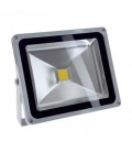 Projecteur LED Ecolife 12/24V DC - 30W - COB Bridgelux