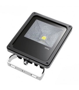 Projecteur LED Proline 240V - 50W - COB Bridgelux