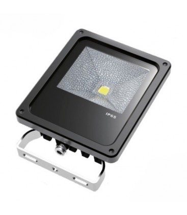 Projecteur LED Proline 240V - 50W - COB Bridgelux