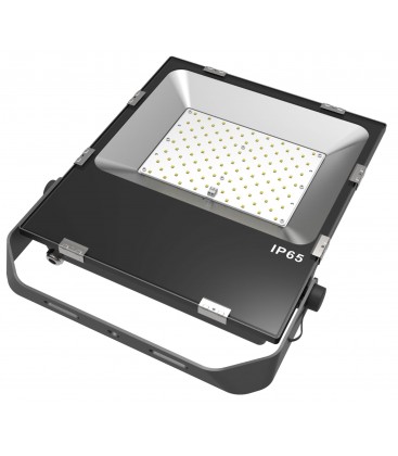 Projecteur LED Proline Extra-Plat 240V - 100W