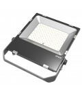 Projecteur LED Proline Extra-Plat 240V - 150W