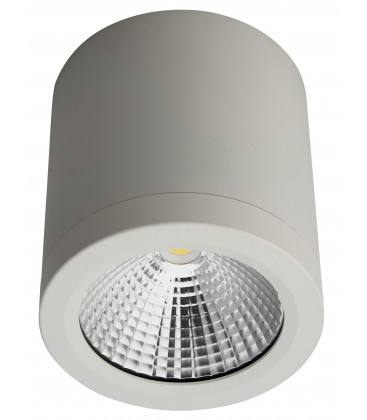 Spot Architecte LED saillie rond - 10W - COB